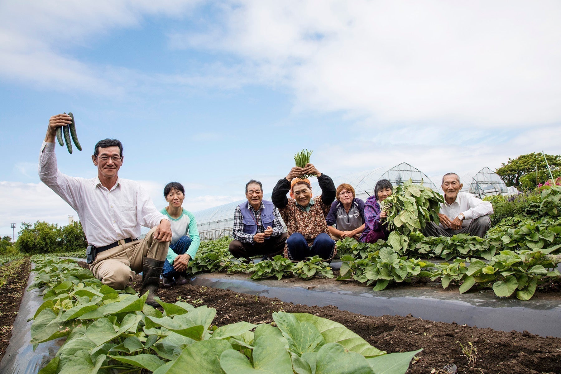 はまなす生産組合 Farm Letter Vol.02