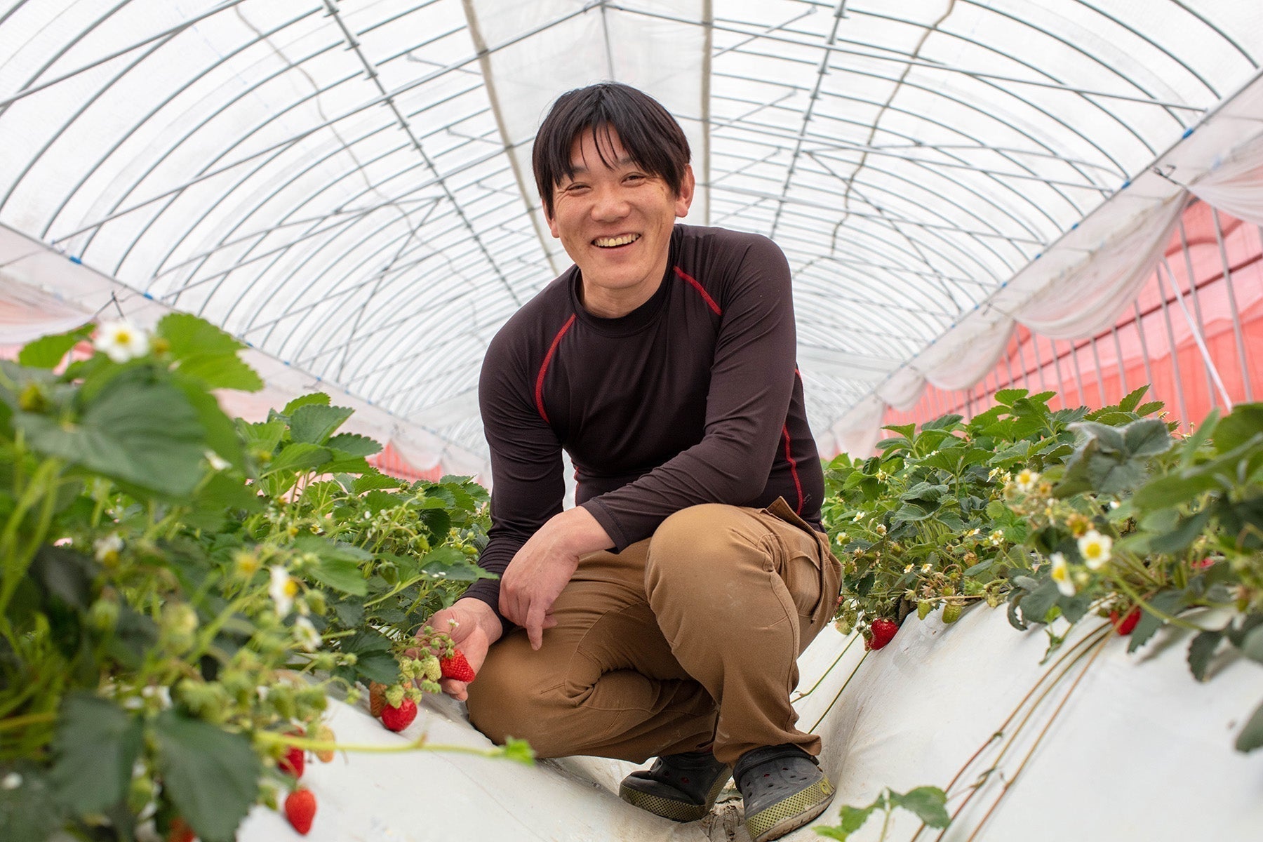 かみむら農園 Farm Letter vol.48