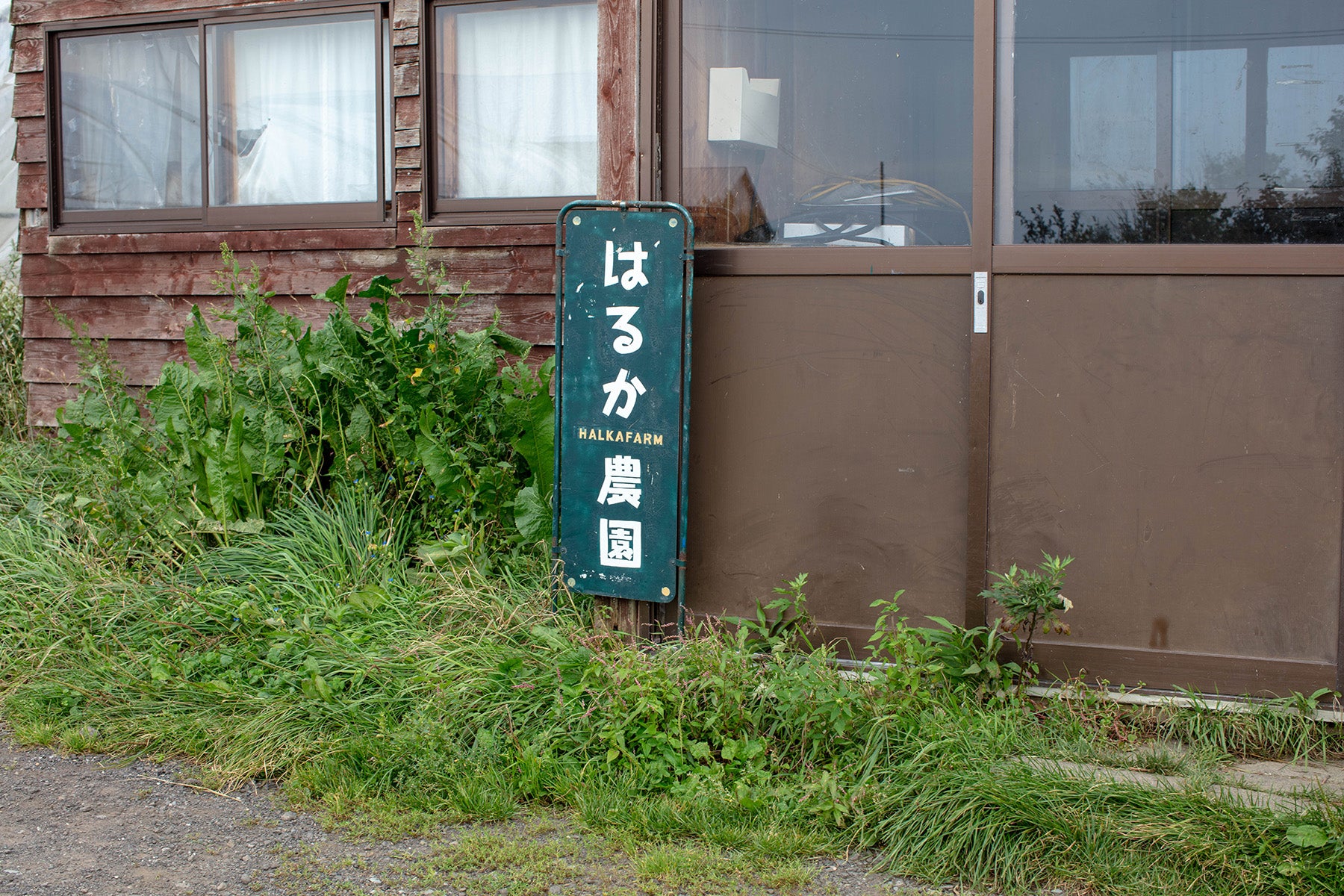 【北海道/はるか農園】生態系を活かしながら効率重視の栽培技術で美味しい農産物をお届けします
