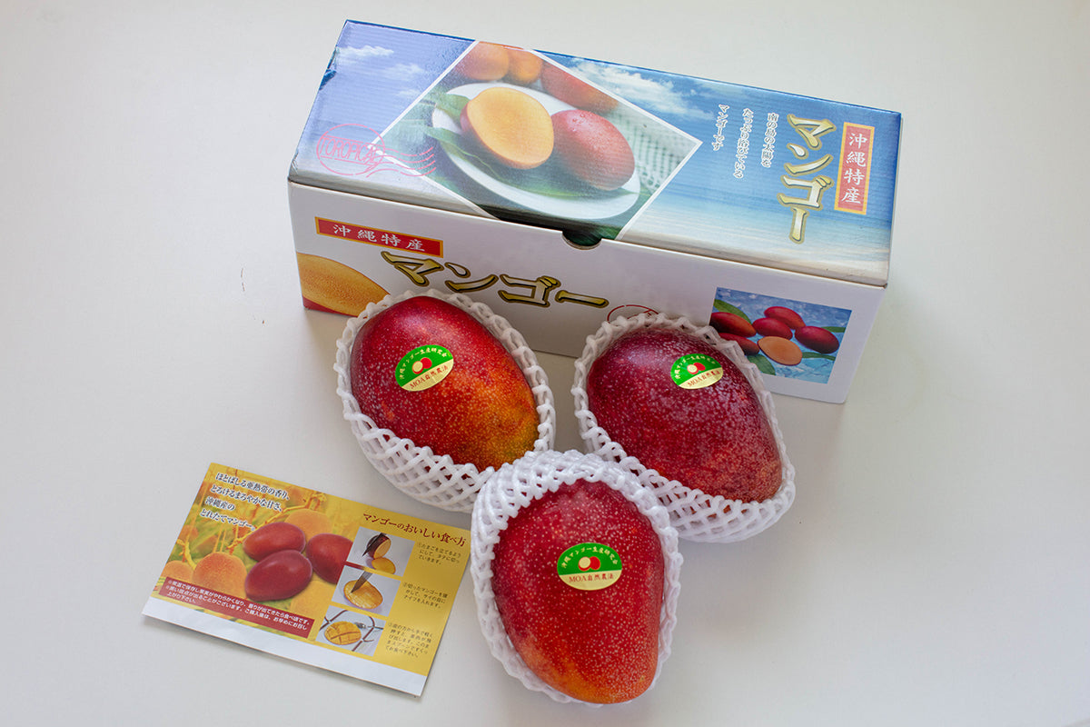【沖縄県/沖縄マンゴー生産研究会】農薬・化学肥料不使用。絶妙な甘さと酸味のバランスが美味しさの秘訣