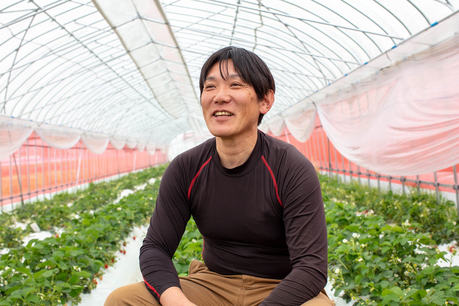 【京都府/かみむら農園】目指すのは「口福」をお届けする有機JAS認証いちご