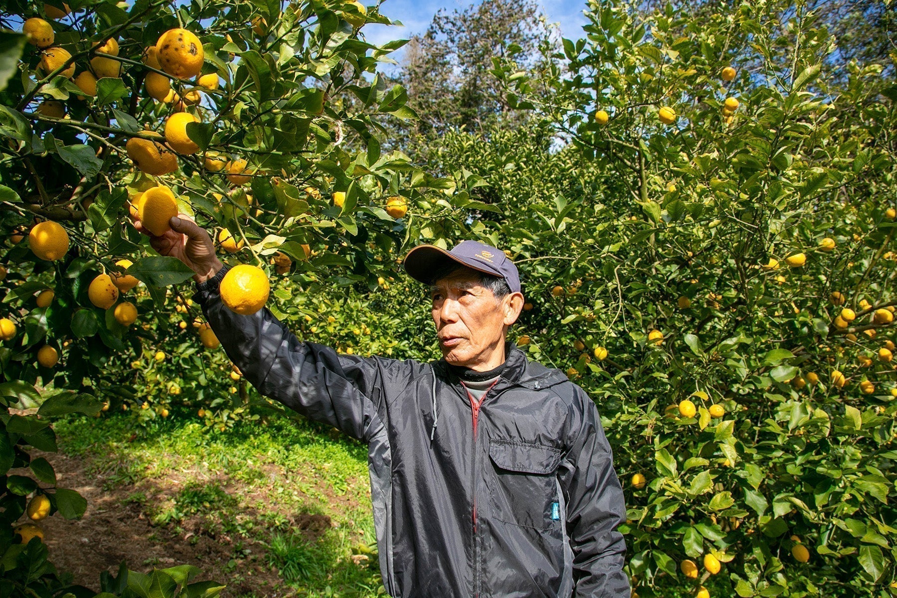 山下農園　Farm Letter vol.45