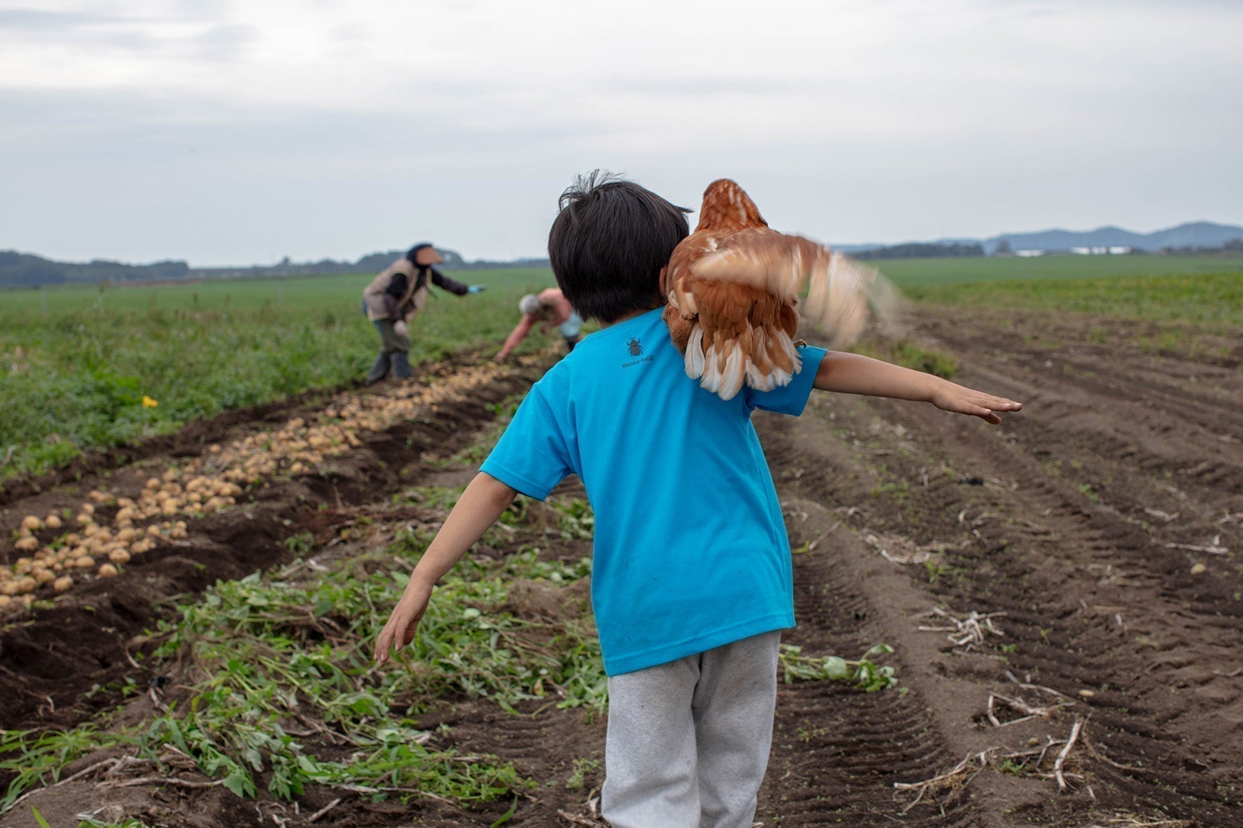 はるか農園　Farm Letter vol.28
