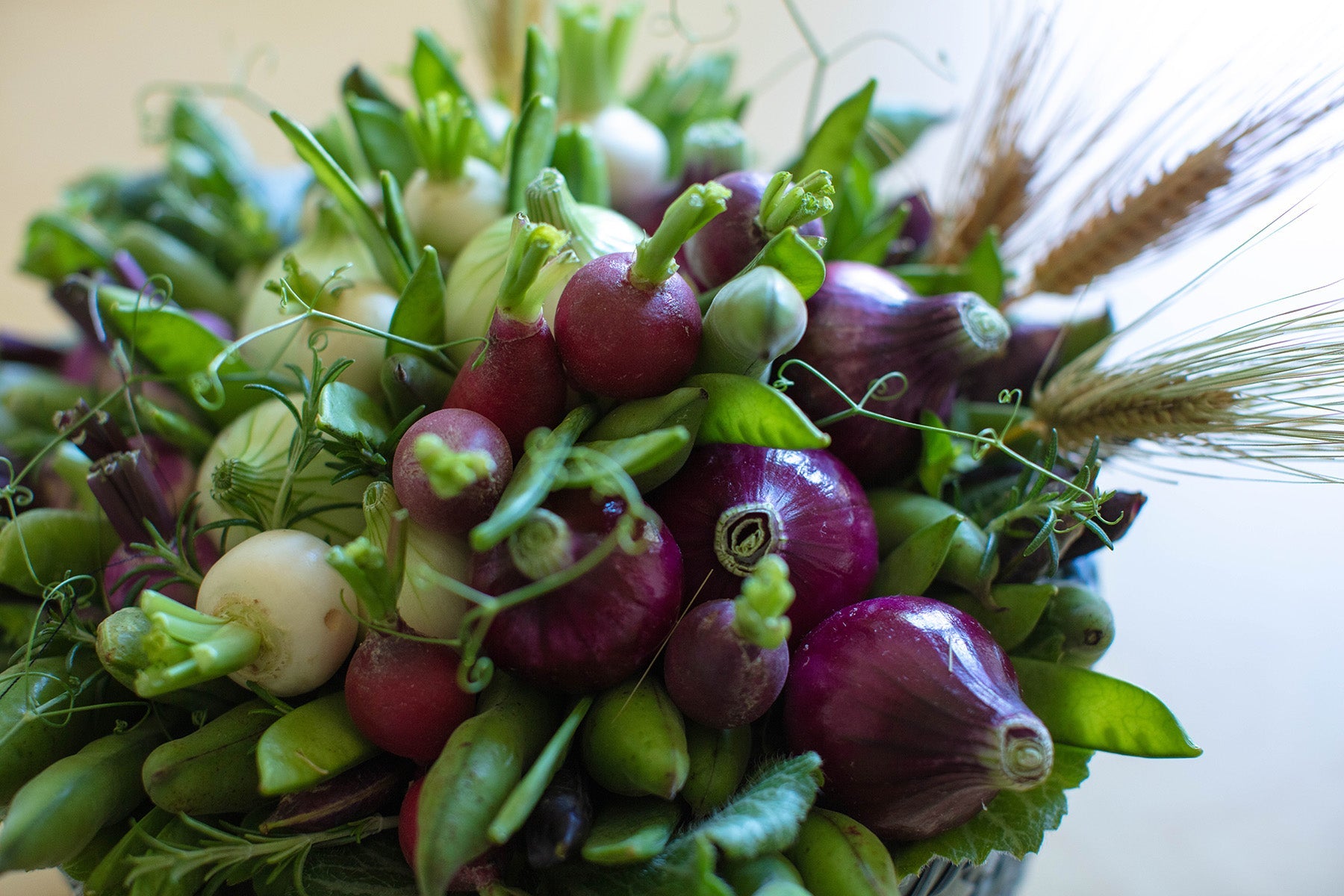 野菜系