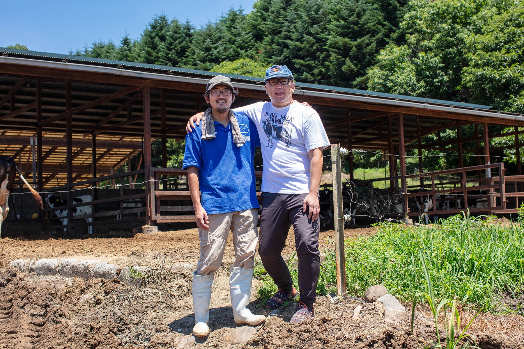 【山梨県／清里ミルクプラント】特定農場の高品質な生乳を「ノンホモ製法」低温殺菌処理牛乳本来の風味と栄養素が生きている牛乳