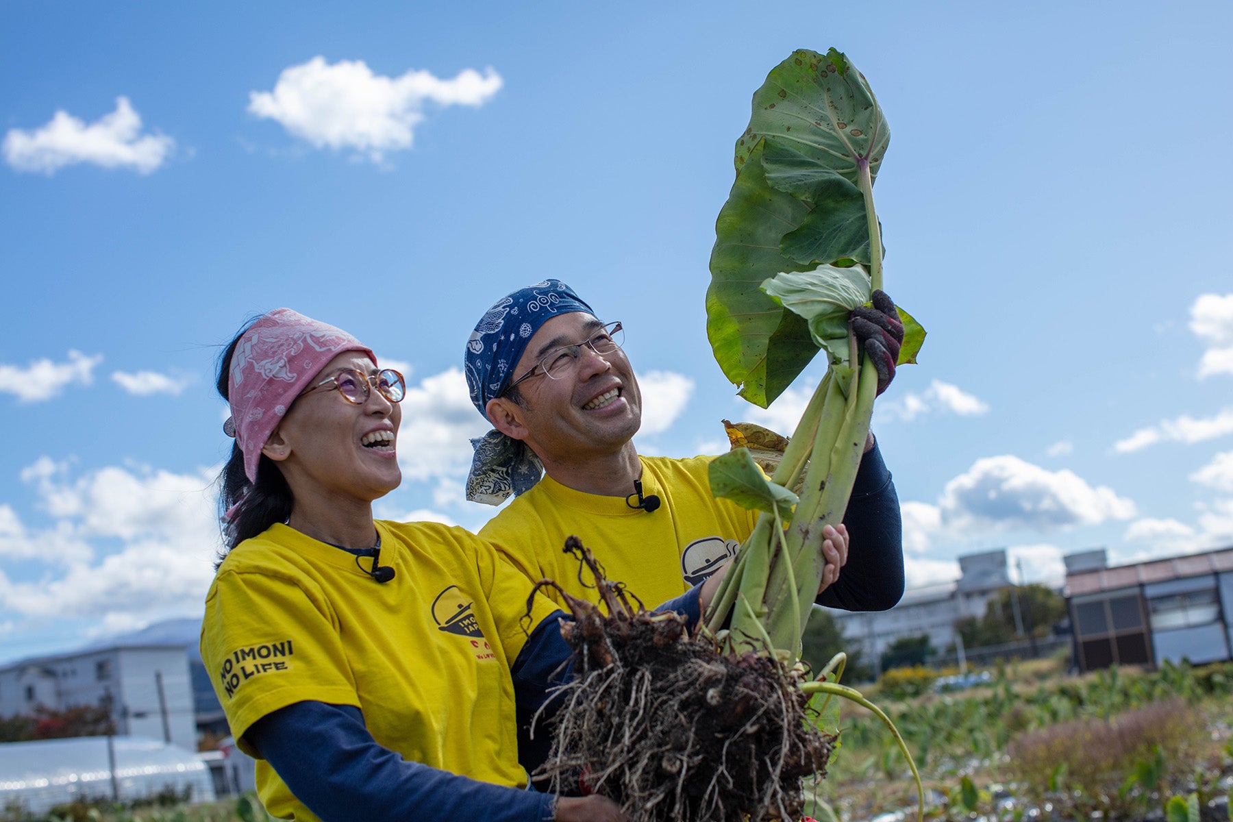 【山形県／さとう農園】今、世界が頷く山形のソールフード。本物の「芋煮」をお届けします