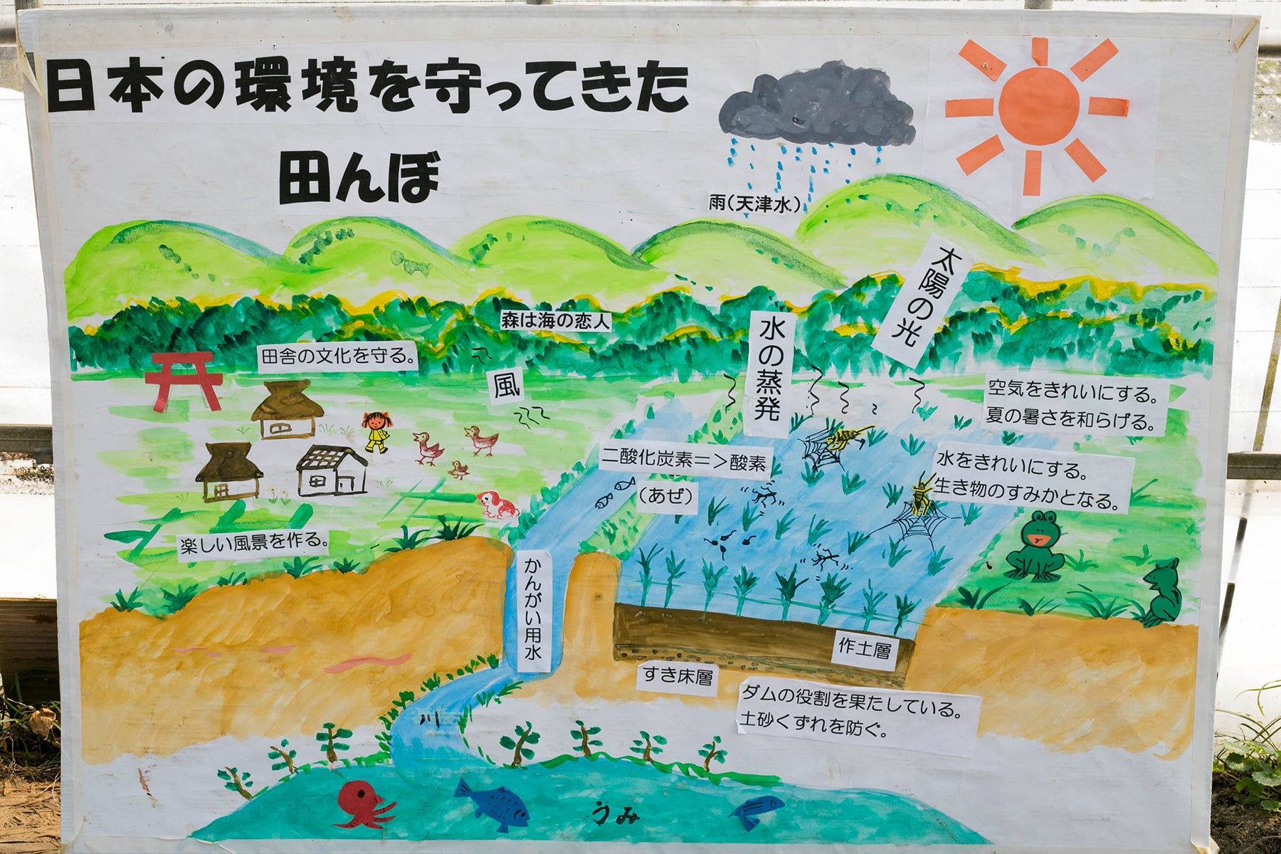 【福井県／よしむら農園】太陽と雨と川と田んぼ。自然とともに育む米
