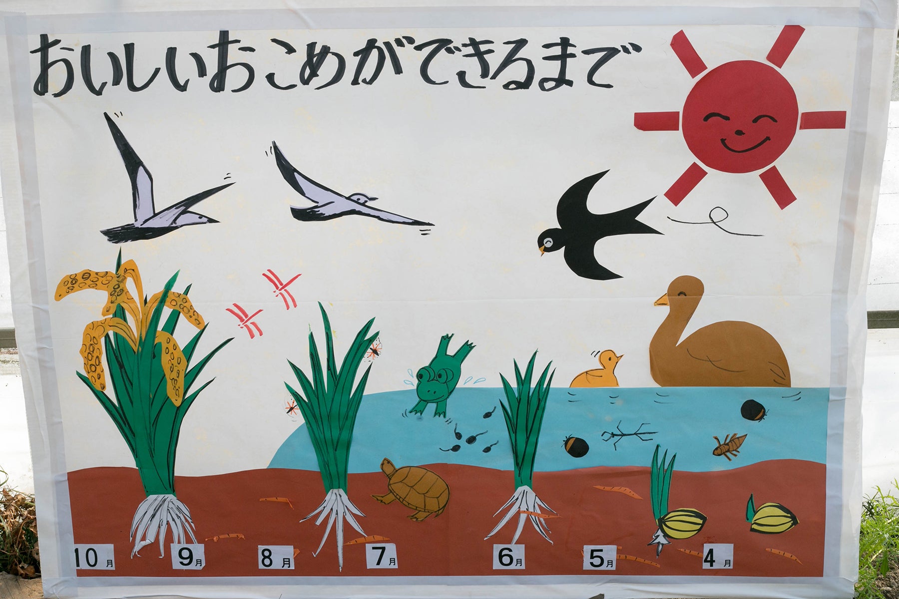 【福井県／よしむら農園】太陽と雨と川と田んぼ。自然とともに育む米