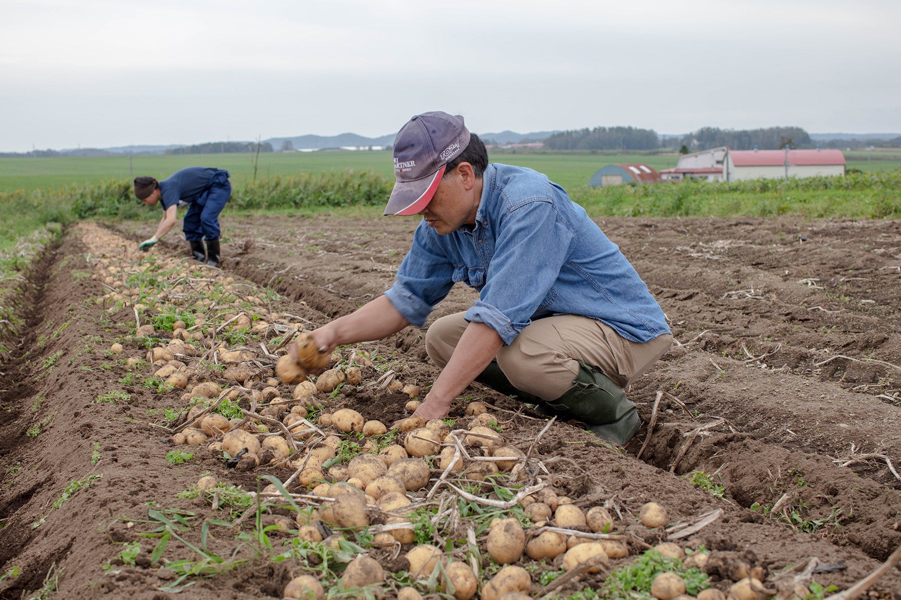 【北海道／はるか農園】生態系を活かしながら効率重視の栽培技術で美味しい農産物をお届けします