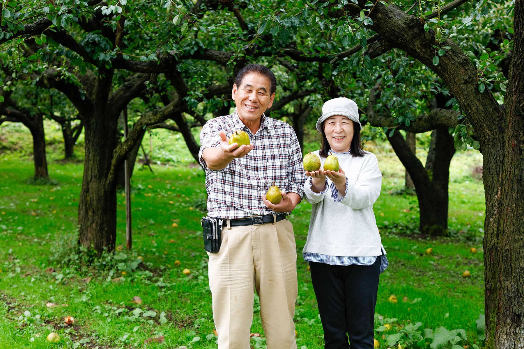 【山形県／森谷果樹園】抜群の味、口溶け優しい果物の女王ラ・フランス販売開始