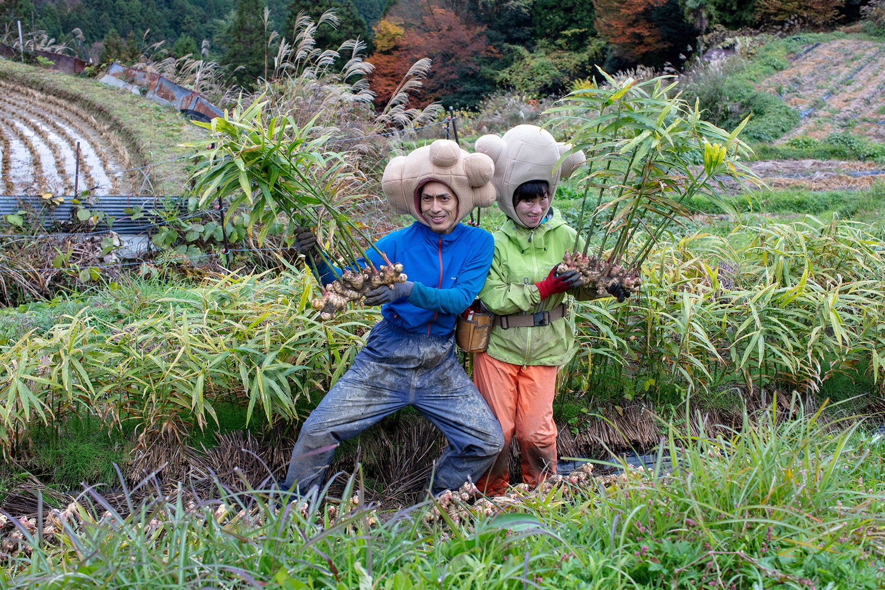 【高知県／ラッキー農園 】標高700mの高地で育つ、唯一無二の限界突破ショウガ