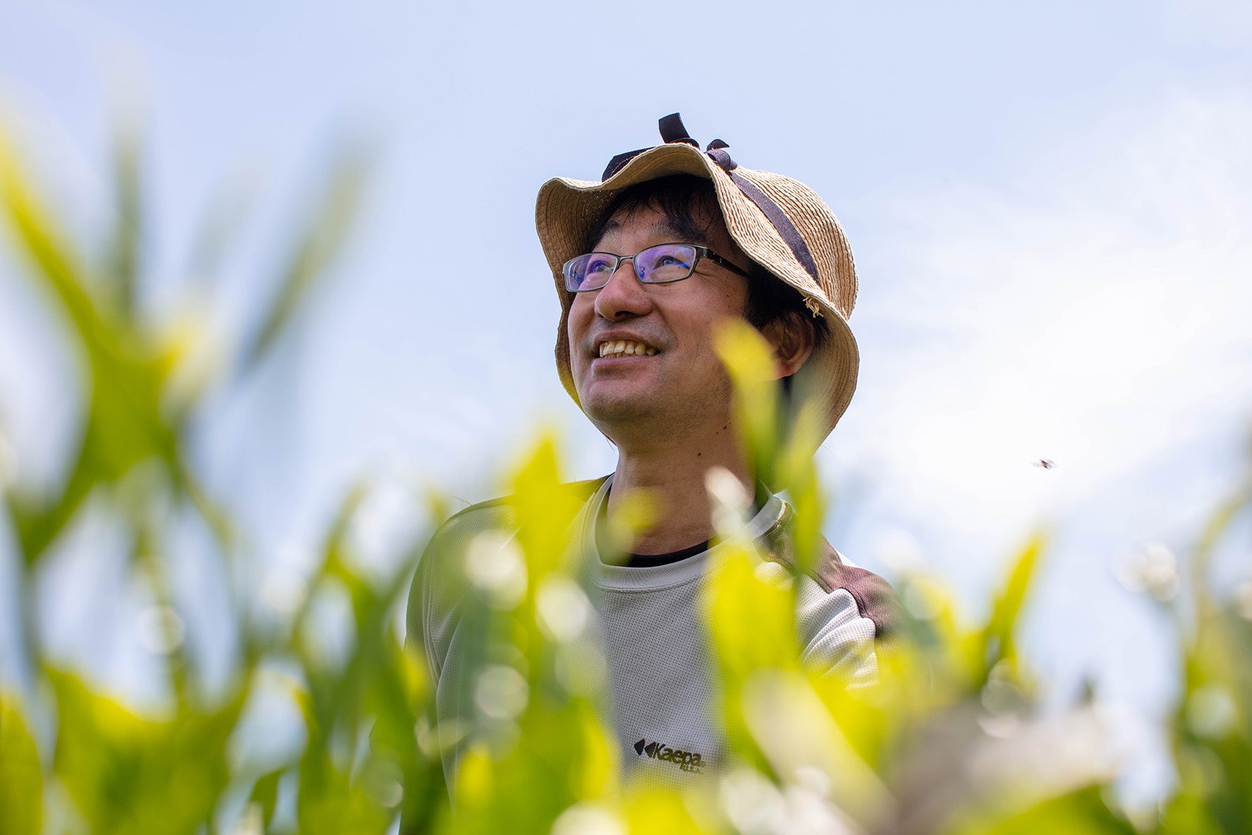 【宮崎県／宮崎茶房】若者たちが有機茶畑に集い伝統をつなぐ、黄金色の釜炒り茶