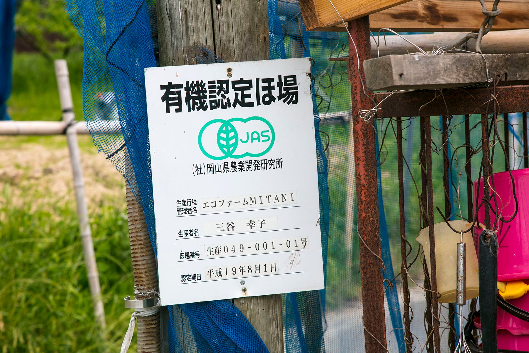【岡山県／エコファームMITANI】有機JAS、そして特別栽培の白桃。この香りと味こそ唯一無二