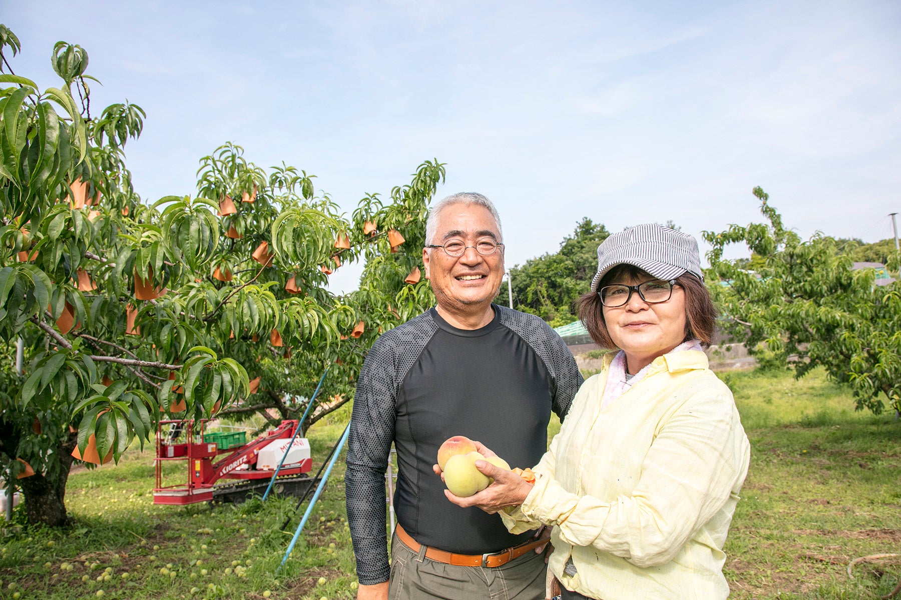 【岡山県／エコファームMITANI】有機JAS、そして特別栽培の白桃。この香りと味こそ唯一無二