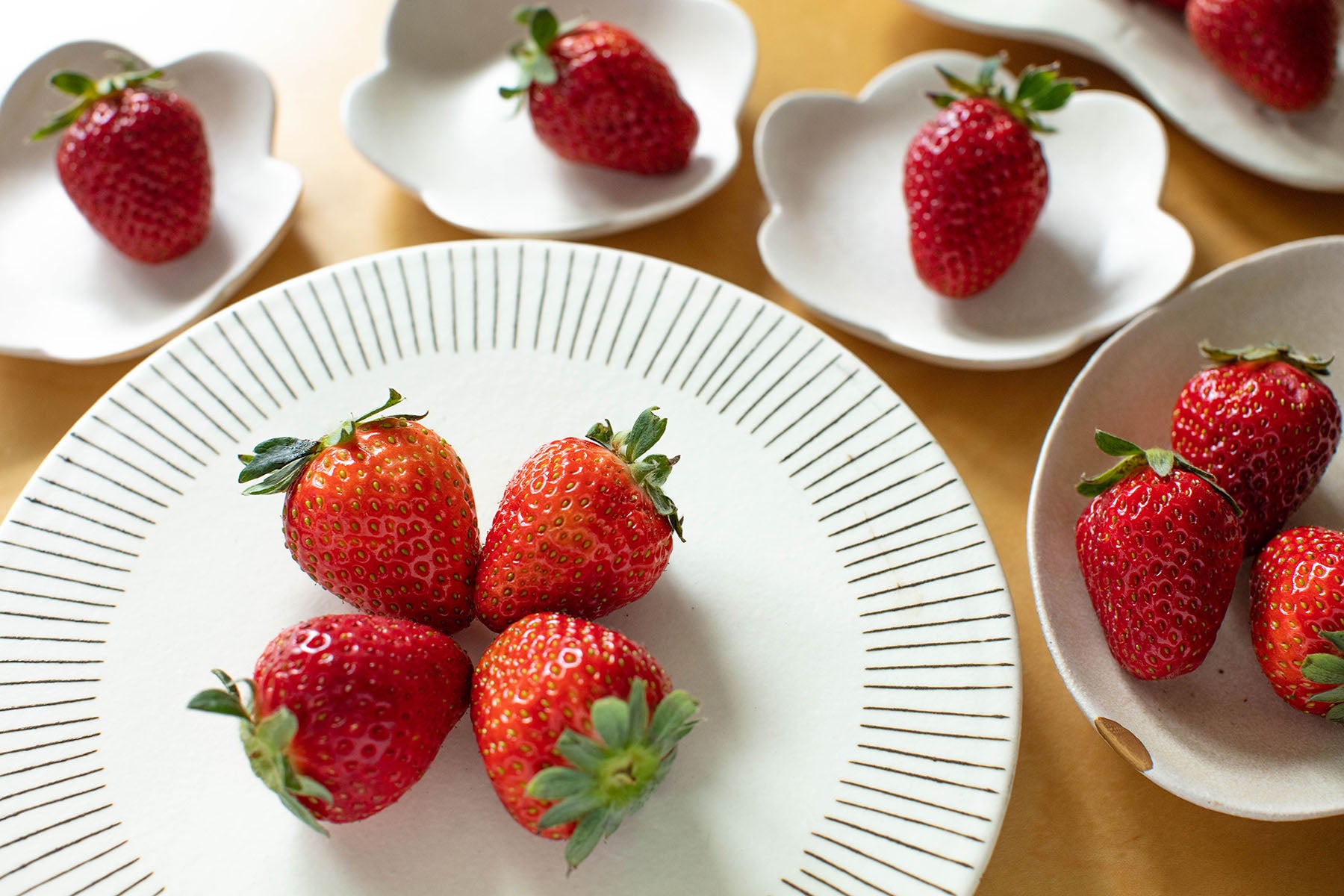 【京都府／かみむら農園】目指すのは「口福」をお届けする有機JAS認証いちご