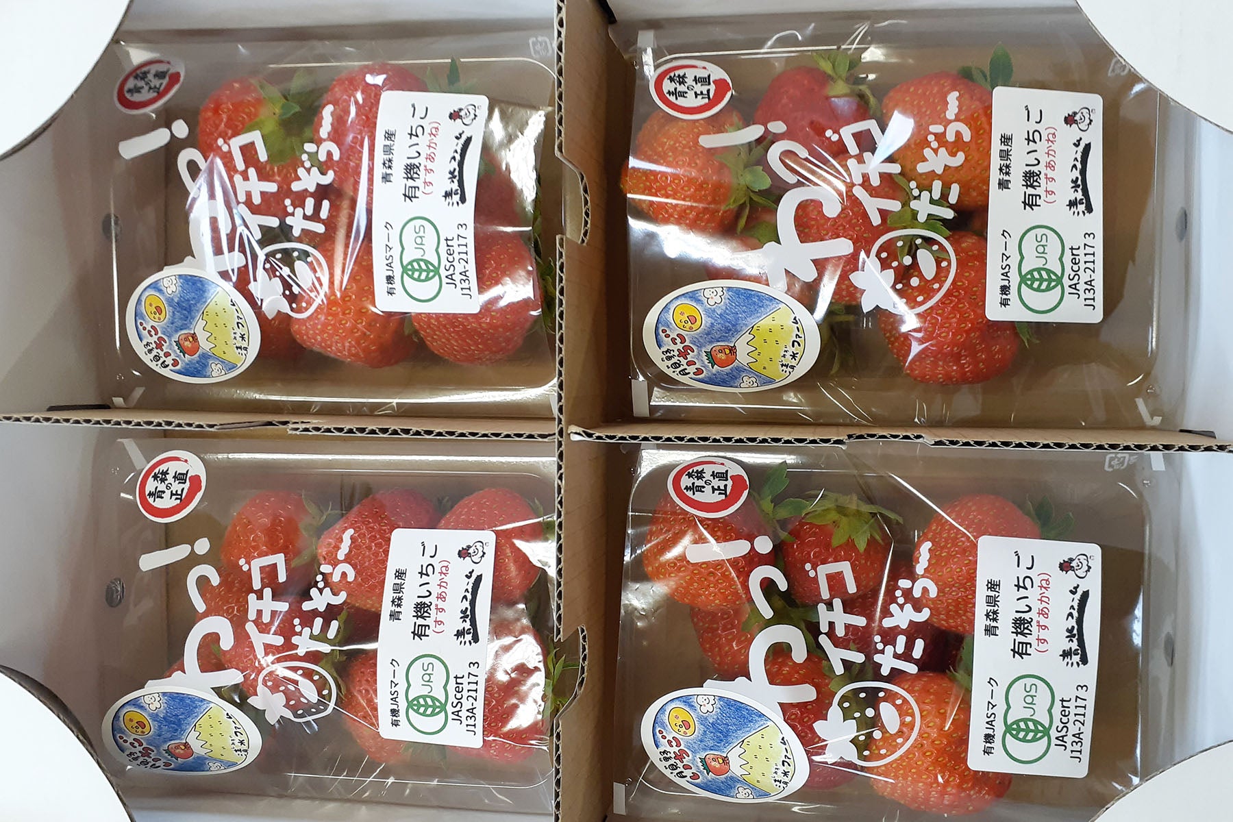 【青森県／清水ファーム】5月から11月に実る希少な有機JAS認証夏いちご「月見野いちご」